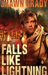 Shawn Grady - Falls Like Lightning