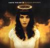 Haste The Day - Burning Bridges