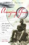 Steve Turner - Amazing Grace: John Newton, Slavery and the World's Most Enduring Song