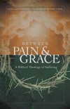 Gerald Peterman & Andrew Schmutzer - Between Pain And Grace