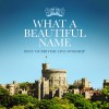 Various - What A Beautiful Name: Best Of British Live Worship
