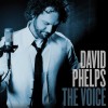 David Phelps - The Voice